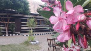 WadiRum Village Lodge