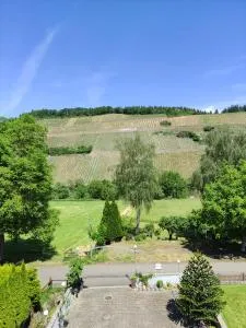 Gästehaus Schneider - Brauneberg