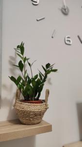 Rock & Roll 2 - Modern apartment in Trikala