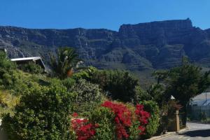 Disa Park Studio with Mountain Views