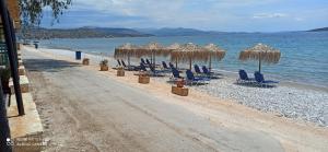 Beach Side Apartments