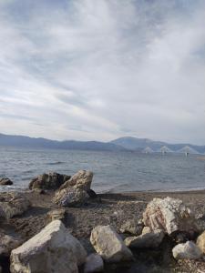 Ζεστή φωλιά