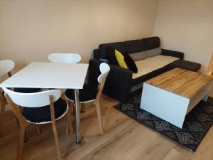 Apartament Centrum 9