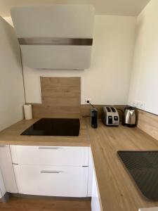 Appartements Superbe appartement avec grande terrasse : photos des chambres