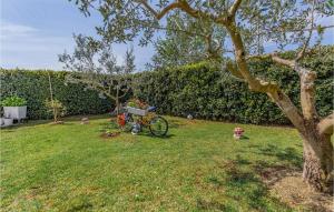 Cozy Apartment In Fazana With Wifi