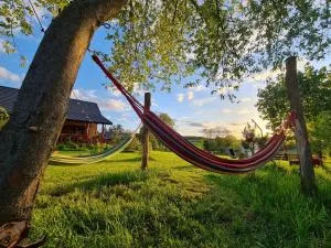 Siedlisko na Wzgórzu - Noclegi Agroturystyka - Borsuki - 波德拉谢地区索科武夫