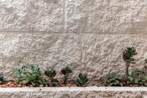 In Centro da Viola - Eco Design Rooms img31