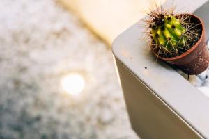 In Centro da Viola - Eco Design Rooms img37