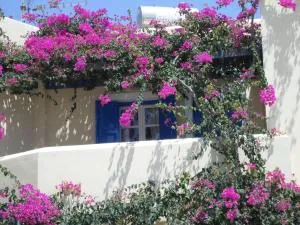 Santorious Flower Covered Apartment - Órmos Athiniós