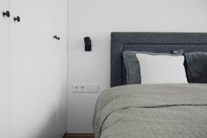 Apartment in Kaunas Old Town