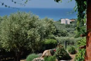 Villa Aiolos - Agia Paraskevi
