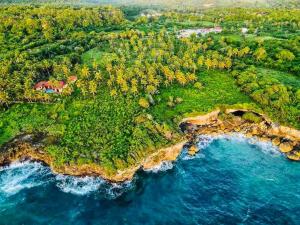 PALM HOUSE - LUXURY VILLA - SAMANÁ - Ocean Front