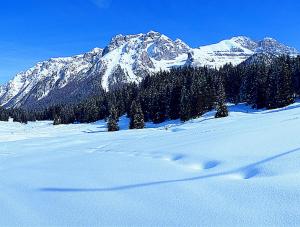 Campiglio Bilocale Monte Spinale