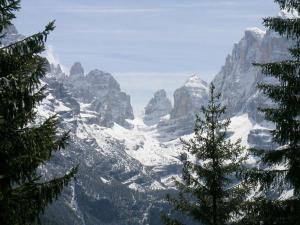 Campiglio Bilocale Monte Spinale