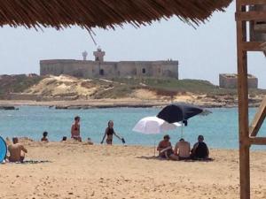 Loft Le Palme - casa vacanze -