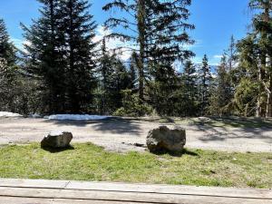 Appartements Au pays des marmottes Appartement 6 personnes plein sud sans vis a vis avec terrasse : photos des chambres