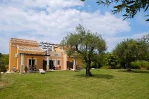 Ballas Paradise - Roda