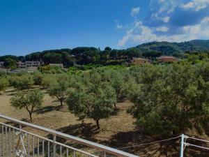 Appartamenti Antico Uliveto