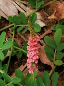 20 Montego Bay - Caribbean Estates