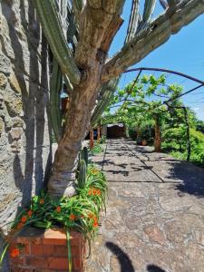 Casa do Faial - Braga