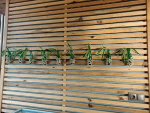 Bora Bora Butik Hotel