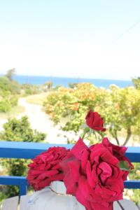 K Farm House - 4hvězdičkové hotely ve městě Kalavárda