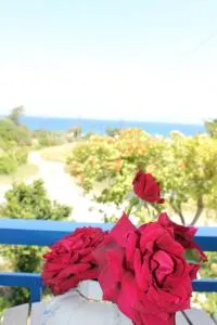 K Farm House - Kalavárda