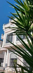 Villa Luiss Panorama