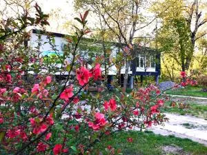 Fekete Gólya Pihenőház - باجة