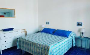 Casa Blue Windows pt