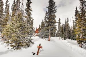 Stay at the Treeline with Fabulous Views! On Top of the World at Ptarmigan Lodge