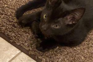 Santos Family Farm Retreat