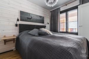 Holiday In Lapland - SointuiLevi B62