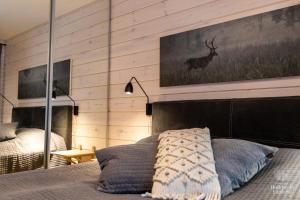 Holiday In Lapland - SointuiLevi B62