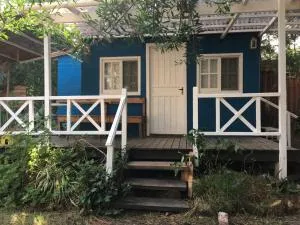 No Estamos Locos - 皮里亚波利斯