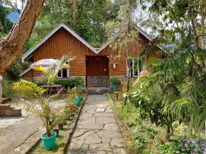 Odyssey Stays Darap - 佩林