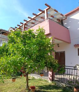 Apartman Brigita