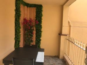 Appartements Appartement centre Collioure 63 m² avec terrasse a 3 minutes des plages : photos des chambres