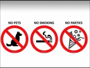 Entire Modern 2 Bedroom Apartment