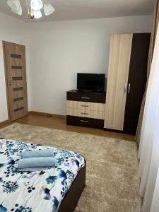 Apartament Andrei Baile Felix