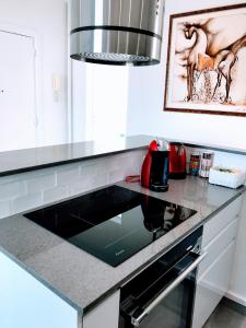 EIFFEL TOWER PENTHOUSE