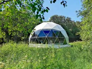 Teapot Lane Glamping - Adults only - Ballaghnatrillick