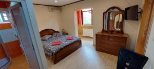 Double Room with Private Bathroom room in Vila Magica