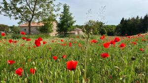 B&B / Chambres d'hotes TENDANCE CAMPAGNE Chambre d'hote et Gite l'ete : photos des chambres