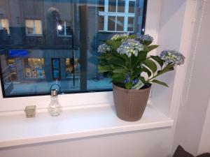 Pepleri 34 stuudio 11