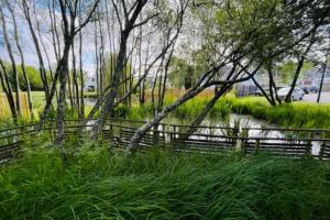 Appartements MAGNIFIQUE Rez de jardin au calme : Appartement