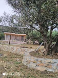 Sun and Sea 2 Elika Lakonias