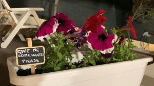 Casa Daniela - Kala & Moru img21