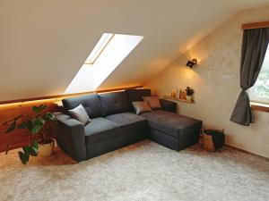 Apartmán u Ovečků - Nová Paka