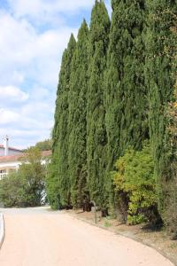 Maisons d'hotes Le domaine des Petits Princes : photos des chambres